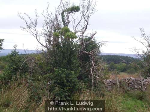 Around Lough Arrow